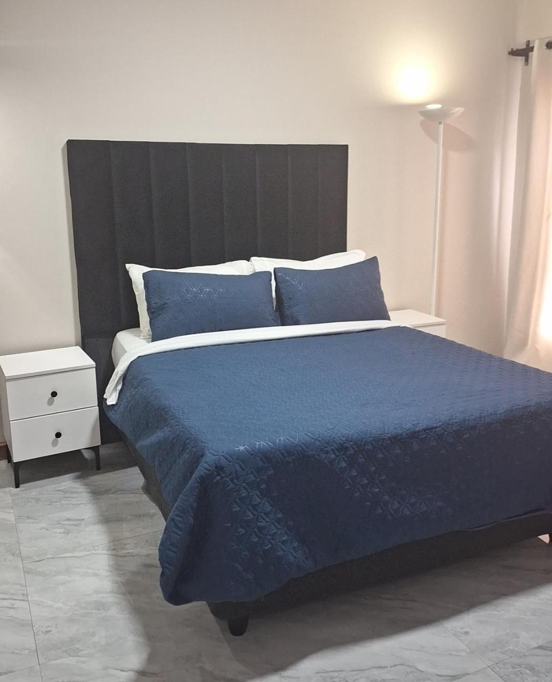 Lowin Suites-One-Bed Apartments Лусака Екстериор снимка